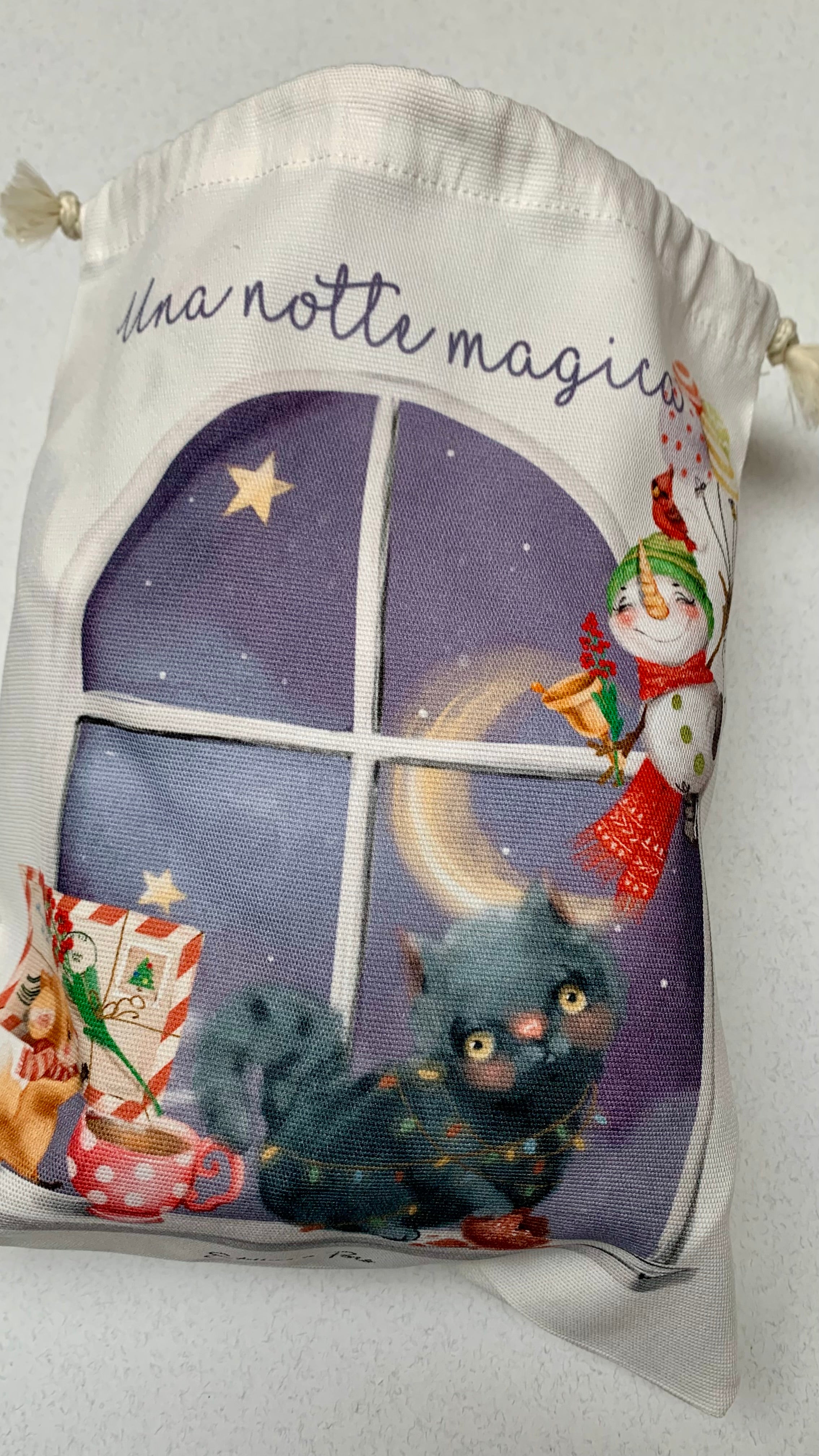 Inventastorie “Una notte magica”