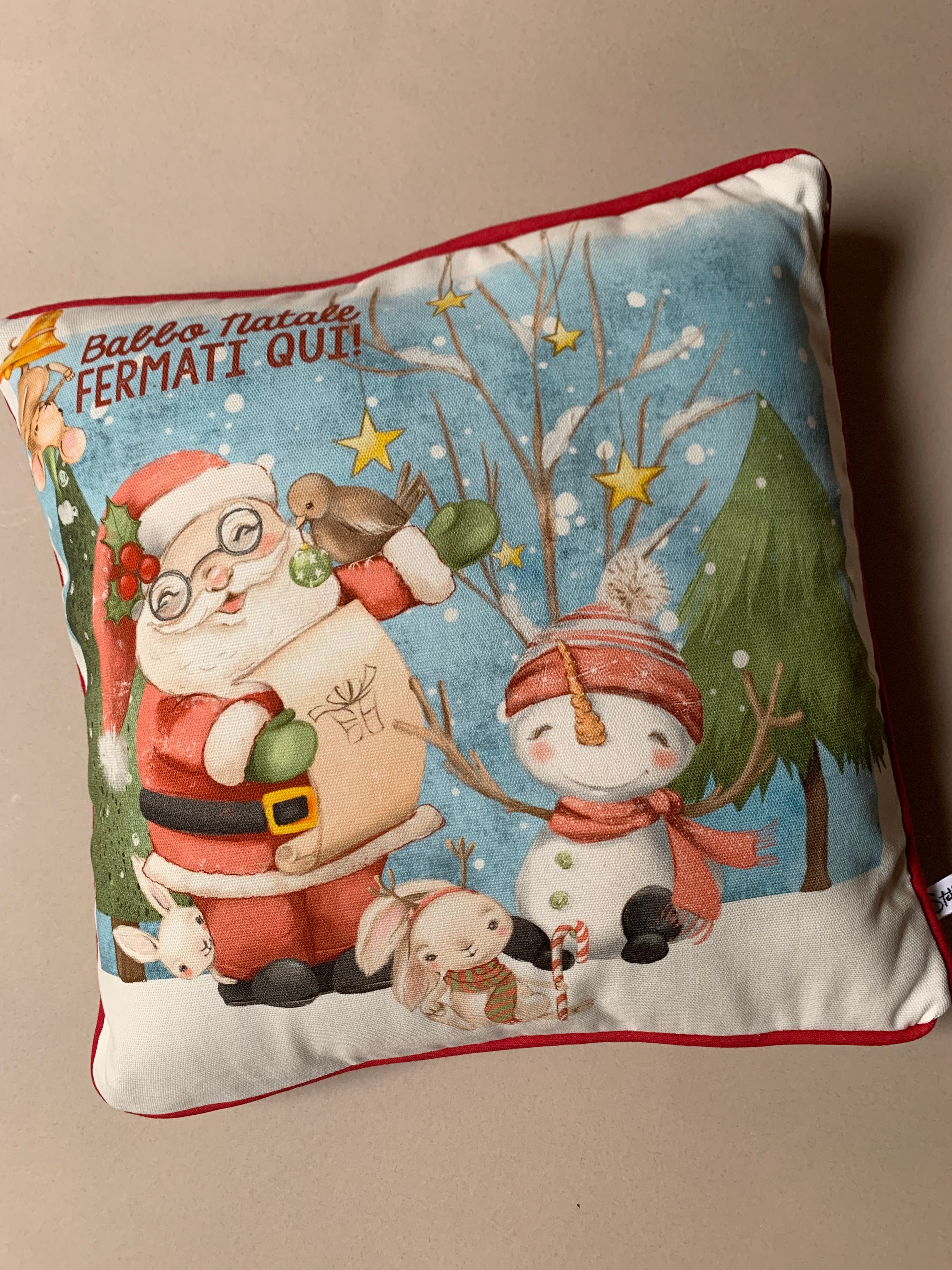 Cuscino decorativo “Babbo Natale fermati qui”